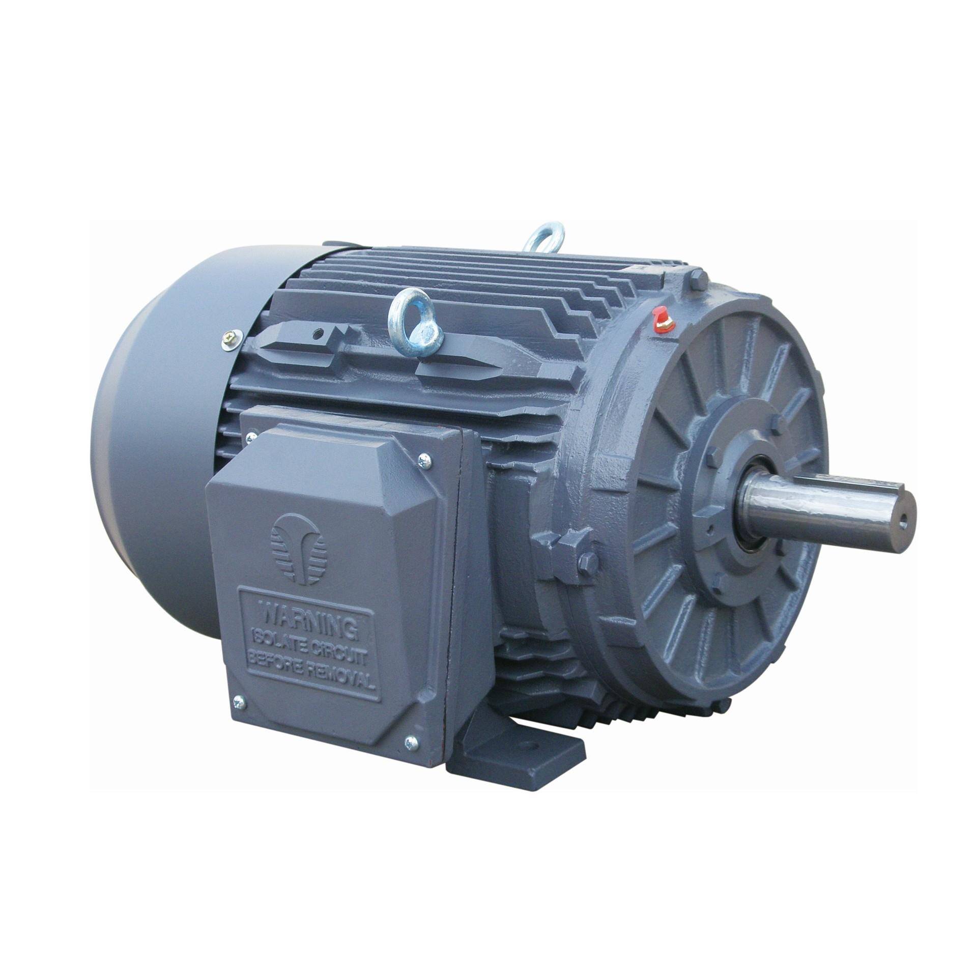 MOTORUL/CE认证的马达电机TC100L-2P3W50/60HZ