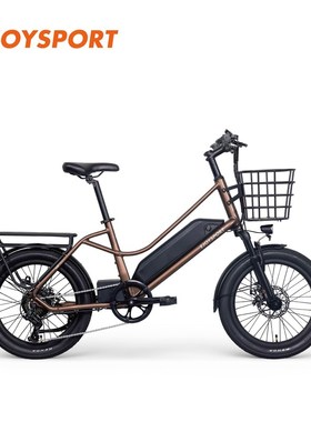 Ejoysport Yiqi Sports Mp MAini 1电动助力自行车350瓦后轮毂电