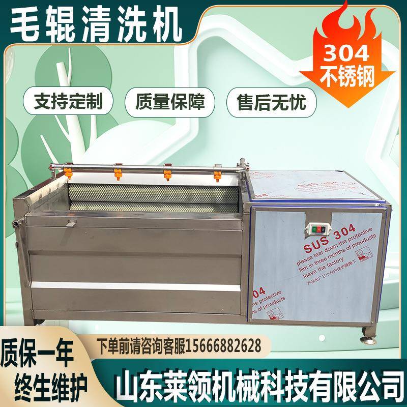 全自动扇贝去泥清洗机商用红萝卜清洗设备大型红薯毛辊去皮机