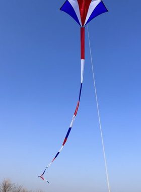 王侉子潍坊冲天追544伞布风筝大人专用高档大型微风易飞风筝儿童