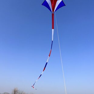 王侉子潍坊冲天追544伞布风筝大人专用高档大型微风易飞风筝儿童