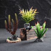 酒店餐饮摆盘装 创意围边小摆件 饰花刺身菜品冷菜点缀盘饰花草日式