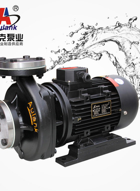 RGZ-10S单吸式高温热油循环泵 耐高温热油输送专用管道离心泵