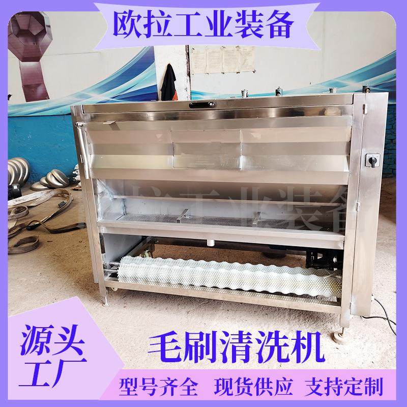 牡蛎海虹毛辊清洗去皮一体机 萝卜毛刷清洗设备 莲藕清洗去泥机,清洗/食品/商业设备,果蔬加工设备,淘宝优惠券,粉丝福利购,淘宝优惠卷