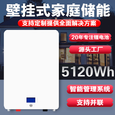 51.21v200ah户用家庭储能10kwh太阳能光伏带出口定制逆变器锂电池