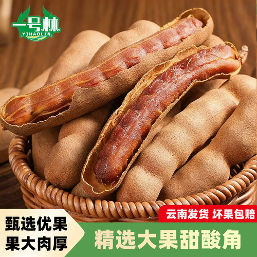甜酸角云南特产新鲜大果西双版纳一号林酸甜角罗望子酸角酸豆角