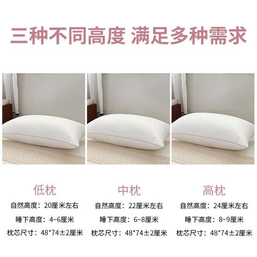 乳胶枕头套冰丝枕头套装一对枕套一对装2025新款单个48cmx74cm