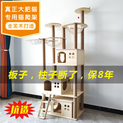 实木柱子猫爬架可水洗实木猫爬架大猫肥猫可用实木柱Y太空舱猫别