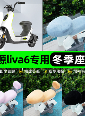 适用绿源liva6电瓶电动车冬座套坐垫套座位防雨罩防水防晒饰配件