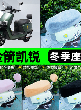 适用金箭凯锐RG505电瓶电动车冬座套坐垫套座位防水防晒装饰配件