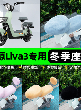 适用绿源Liva3电瓶电动车冬座套坐垫套座位防雨罩防水防晒饰配件