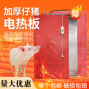 猪用电热板仔猪保温板q碳纤维恒温产床加热板兽用发热加热养殖设