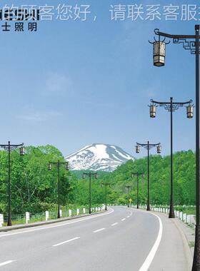 意杰10米市士电双头古典路灯城市杆道景仿区特色古造YJS-GDSD型主