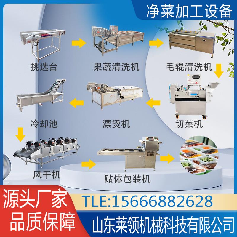 白菜土豆气浴清洗机器 番茄气泡清洗机 净菜加工流水线成套设备