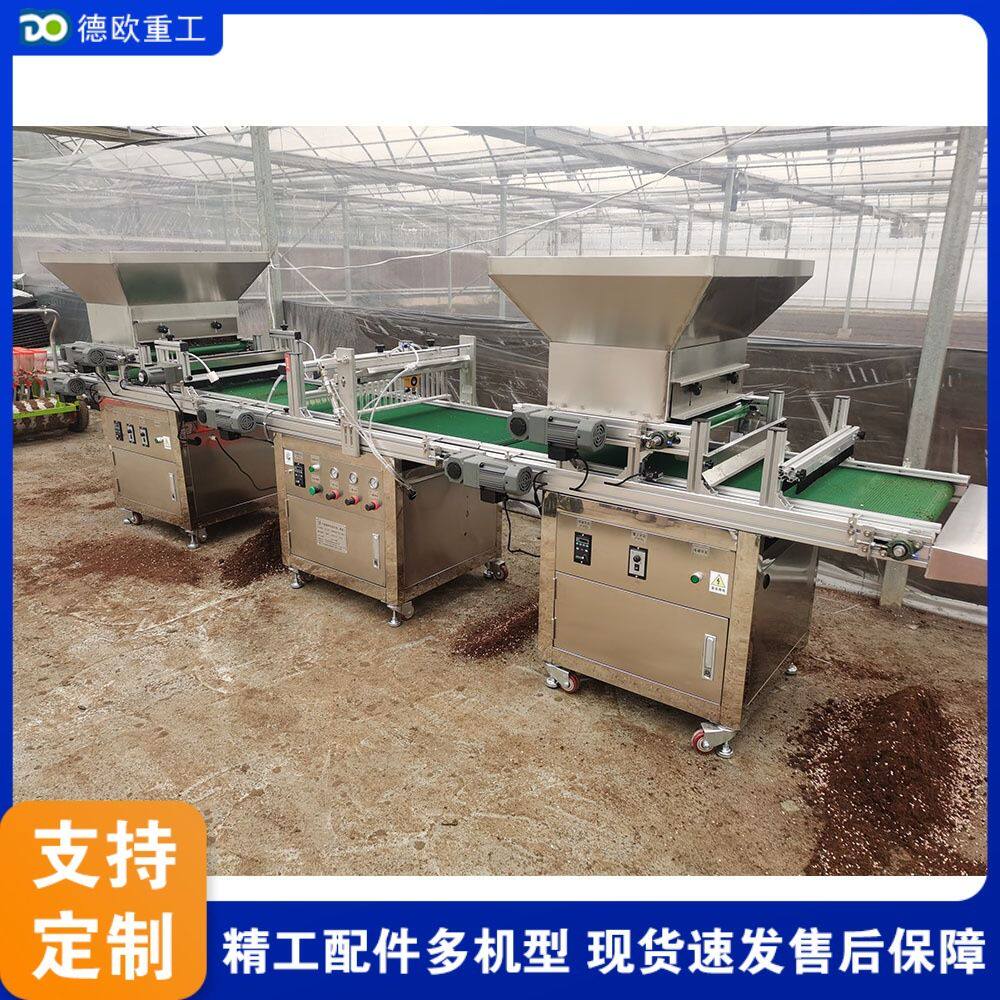 农用蔬菜种子全自动种植机 花卉烟草育苗播种机 漂盘覆土压穴机