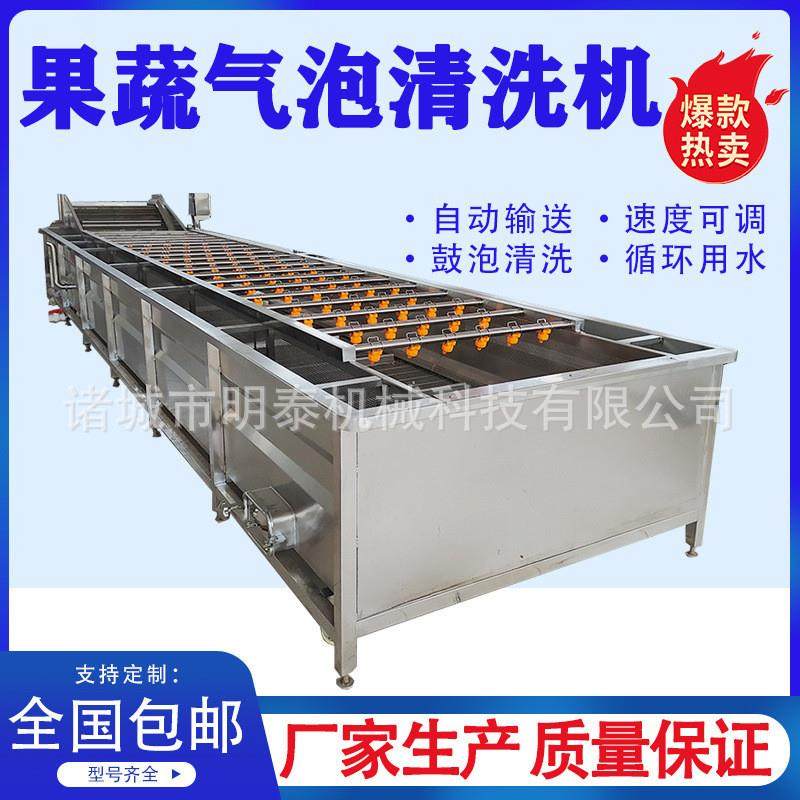 桑葚桑叶果蔬气泡清洗机 火龙果柚子全自动洗果机 酸豆角清洗设备