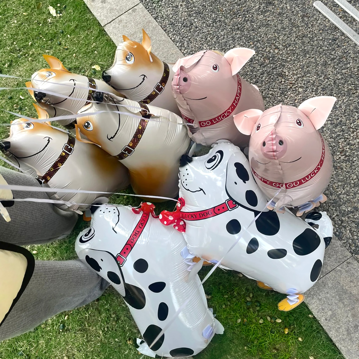 网红卡通柯基斑点狗走路鸡动物气球赶鸡入笼游戏道具牵绳遛狗神器