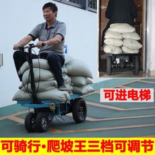 倒騎驢電動平板車手推車拉瓷磚水泥搬運車爬坡拉貨三輪車 成淼