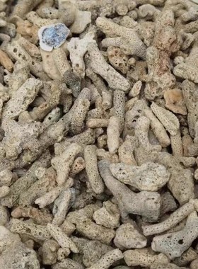 大块珊瑚石50斤锦鲤鱼池过滤材料鱼池滤材珊瑚骨天然珊瑚石过滤