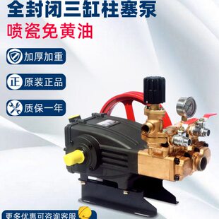 打药泵农用高压三缸柱塞泵清洗机泵头果树高山送水泵电动喷药泵新