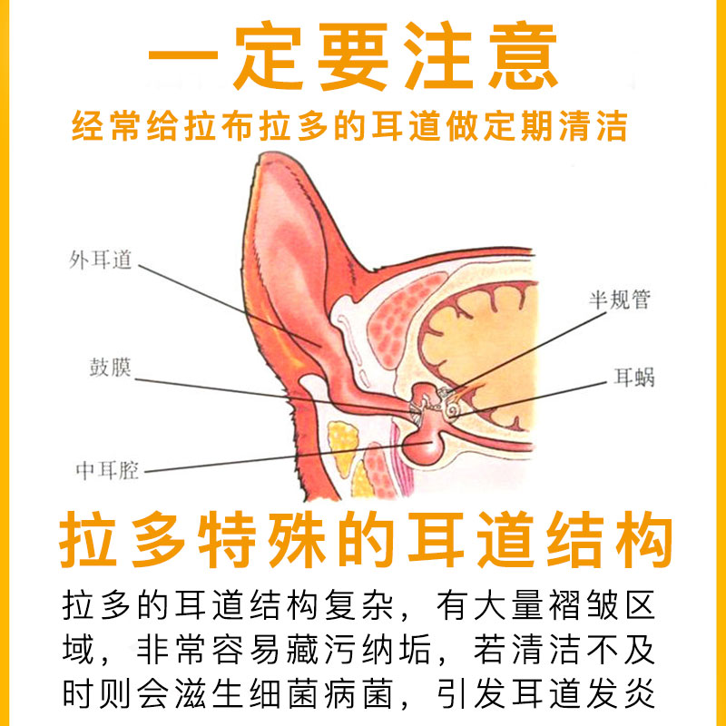 拉布拉多专用滴耳液狗洗耳液耳螨耳垢狗狗耳朵清洁成幼犬用洗耳水