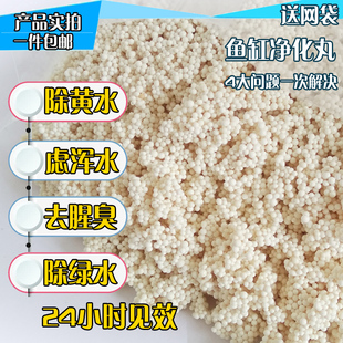 蛋白棉鱼缸去黄水D301树脂磁力B宝鱼缸除黄水净水剂鱼缸水族活性