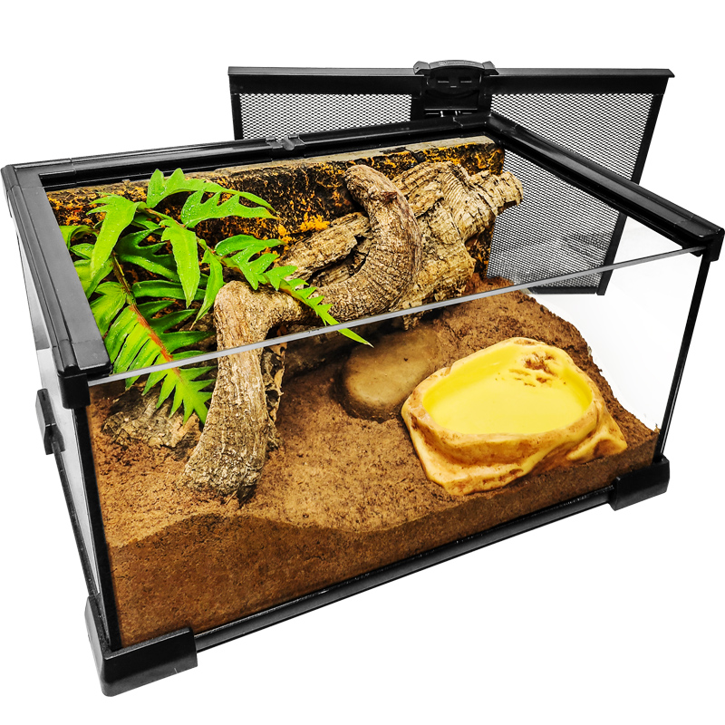 宠物角蛙造景玻璃饲养缸生态环境爬宠缸雨林缸水陆缸景观箱