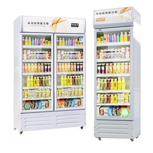 饮料柜商用单门家用冰柜商用冷柜啤酒水柜 冷藏柜保鲜柜展示柜立式