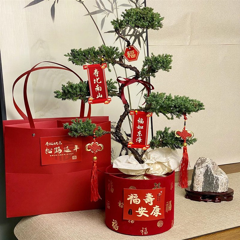 七层塔松盆栽盆景送长辈祝寿礼物室内植物开业P乔迁绿植退休送礼