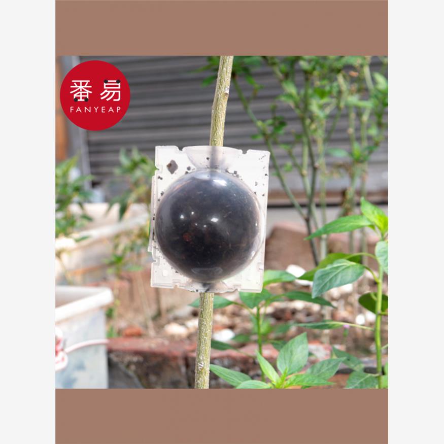 15Y植物繁殖盒A1p501-高