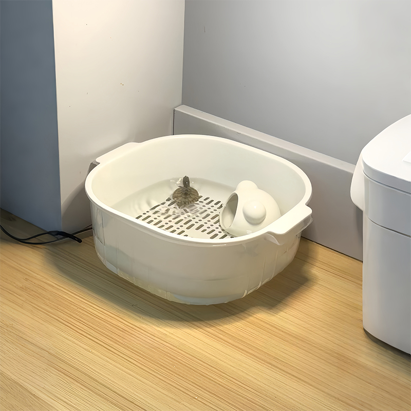 【小乌龟的日常生活】懒