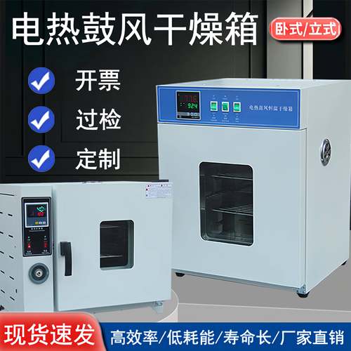 电热恒温鼓风干燥箱高温