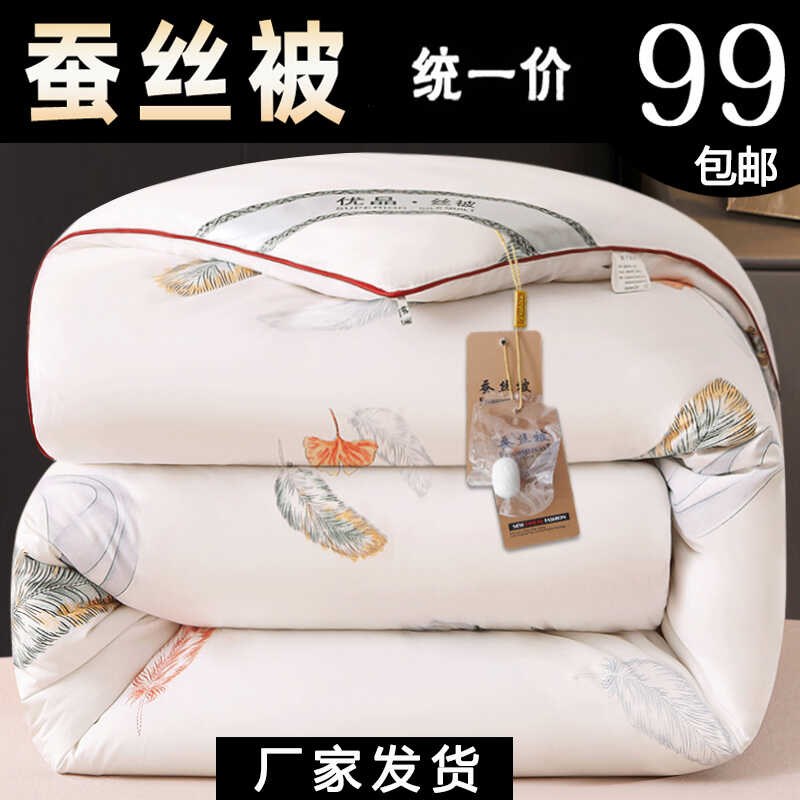 被子冬季加厚蚕丝棉被芯冬被保暖春秋冬天双人太空被褥子冬款盖被