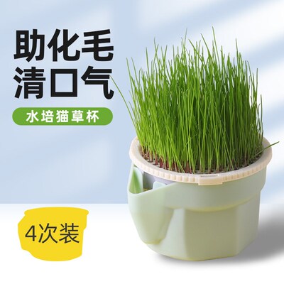 水培猫草杯懒人盆栽无水栽培猫草小麦毛猫草粒猫草自种猫咪零食