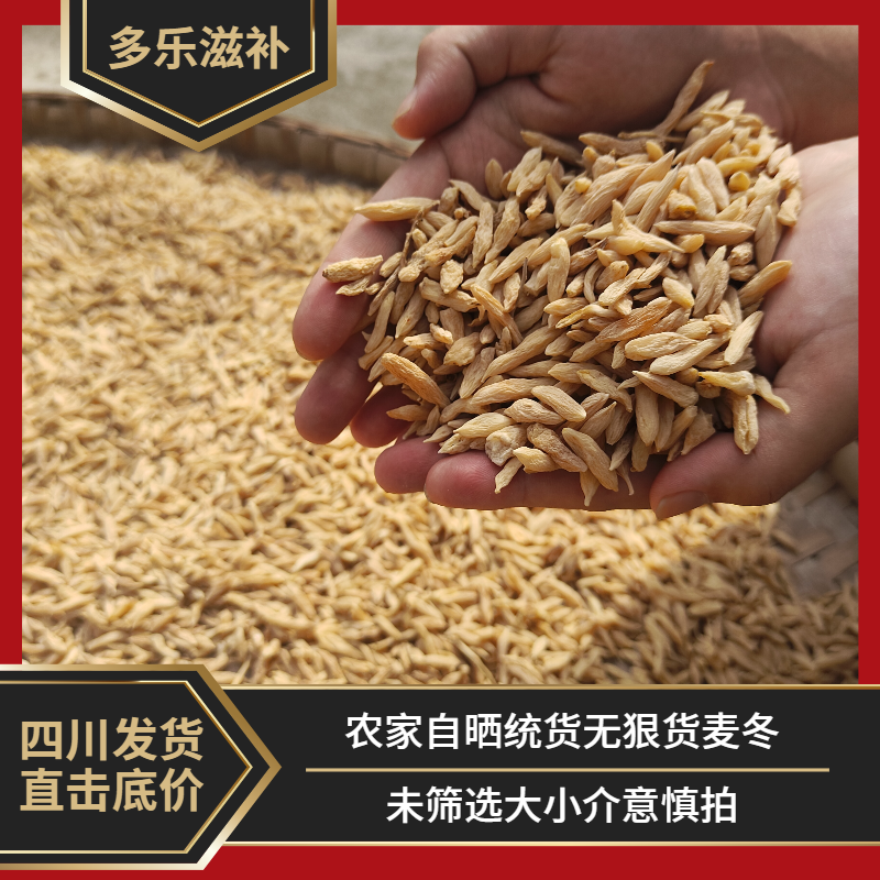 多乐滋补正宗麦冬四川发货麦冬茶麦门冬干货传统晾晒无科技无狠货