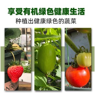 土中土种菜土有机营养土壤蔬菜家庭阳台泥土种植土肥料育苗土