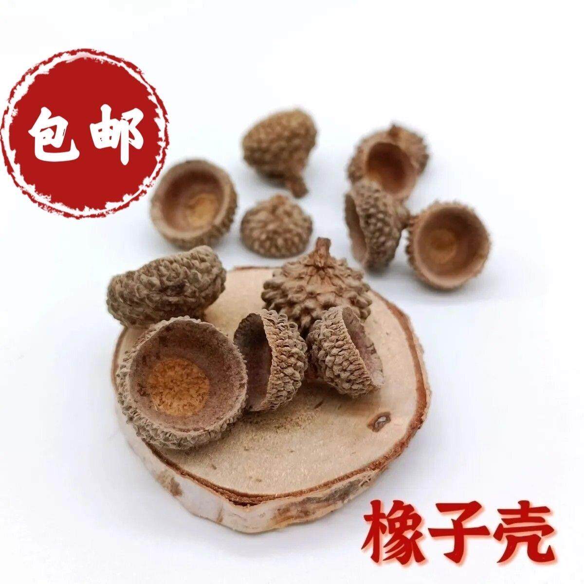 橡果帽橡树果壳橡子碗环创材料干花拍摄道具手工森系diy装饰果子