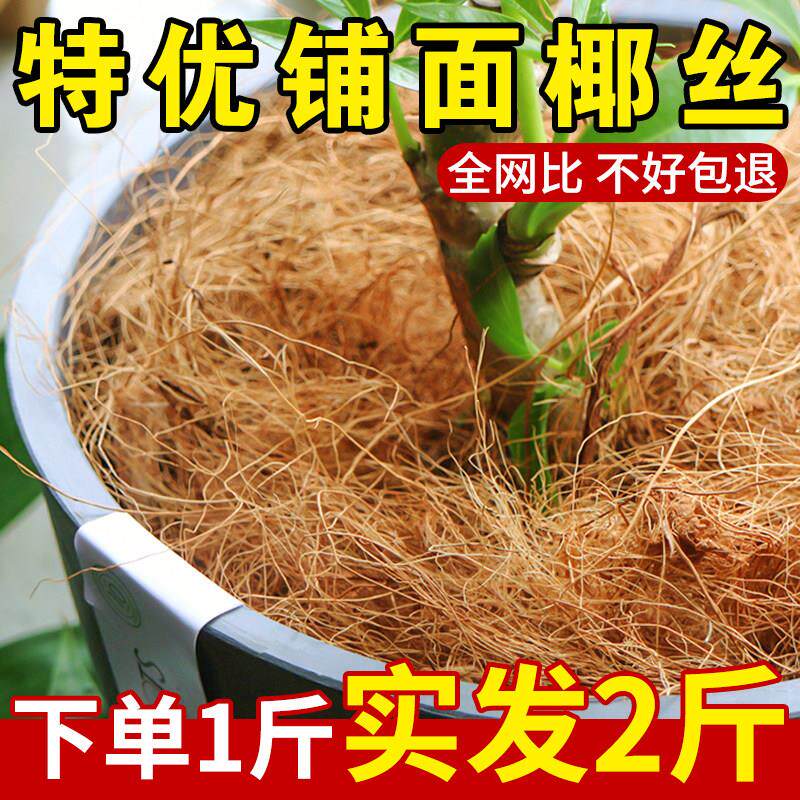 园艺椰丝天然椰棕丝花盆椰丝铺面盆栽装饰花盆填充物鸟窝草窝垫材