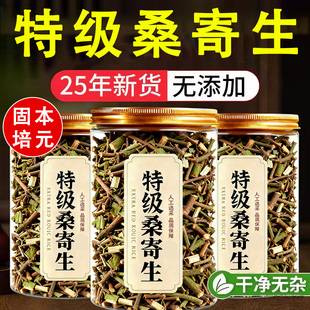 桑寄生中药材正品野生茶纯天然无硫熏泡水喝的功效特级煮水喝茶