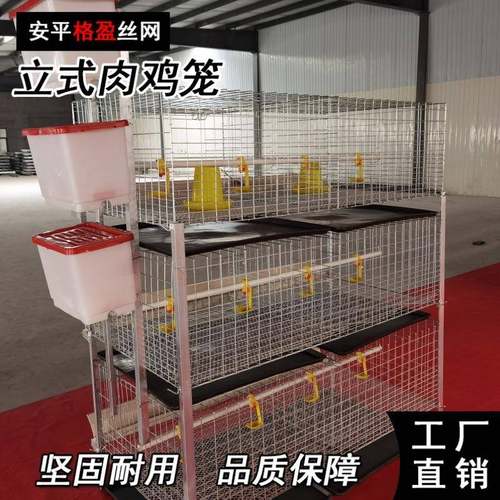 源头厂家供应全自动肉鸡笼镀锌肉鸡笼养殖设备自动清粪