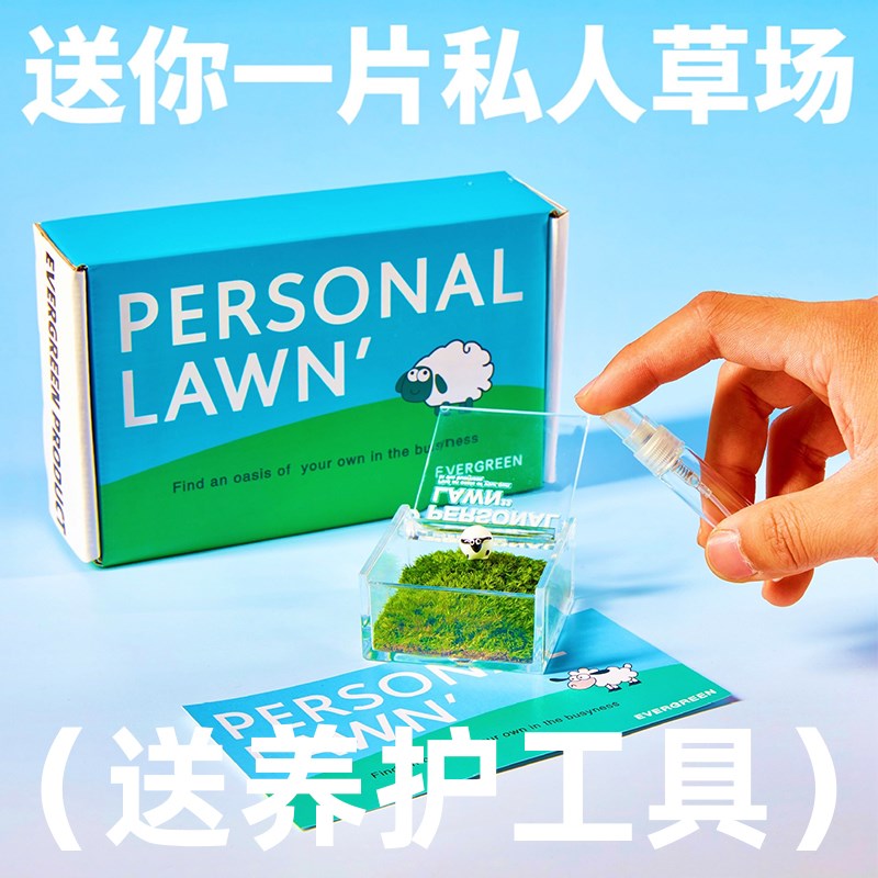 光合作用私人草坪苔藓微景观办公室桌面绿植懒人植物盆栽解压礼物
