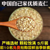 现去皮麦仁麦米河南优质小麦仁米新货煮粥孕妇健康代餐去皮大麦米