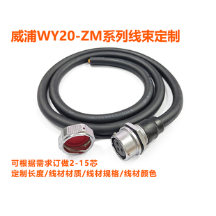 威浦WY20螺母座ZM带线航空插电缆加工端子焊线防水包胶定制 磊福