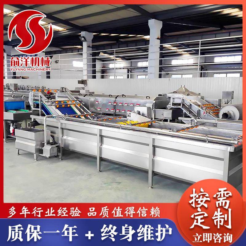 不锈钢水果气泡清洗机香菇气泡清洗设备白菜萝卜清洗机工厂直供