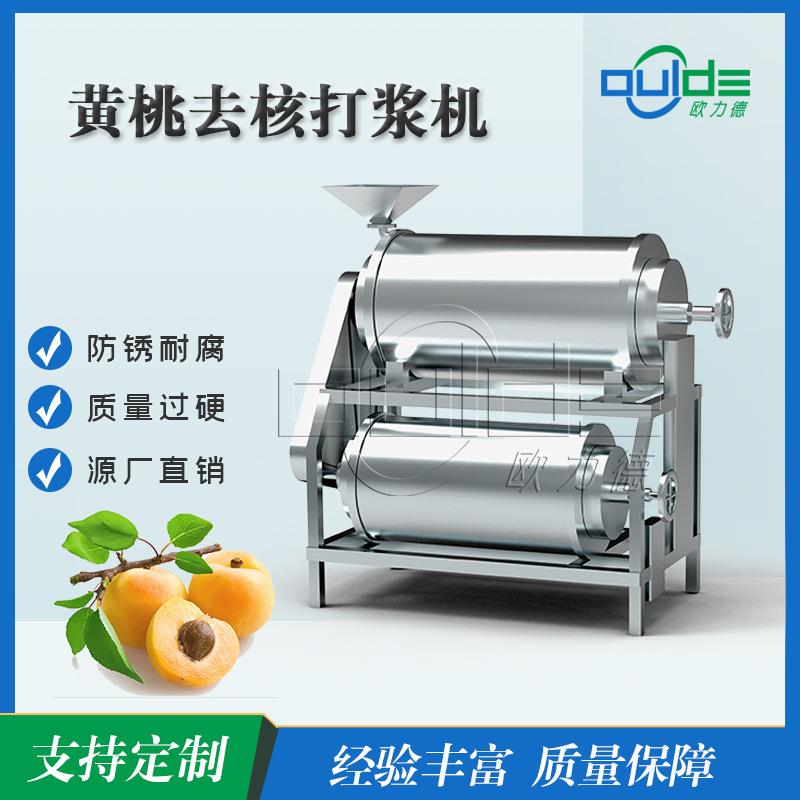 大型工厂直供MDJ2系列不锈钢工业黄桃打浆机出浆快打去核打浆机