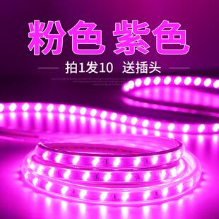饰浪漫创意超亮户外防水长条 紫色led灯带紫光粉色灯带家用220v装