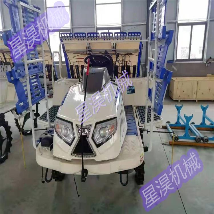 乘坐式水稻插秧机稻田高速栽插机秧苗种植机6行8行育苗插秧机器