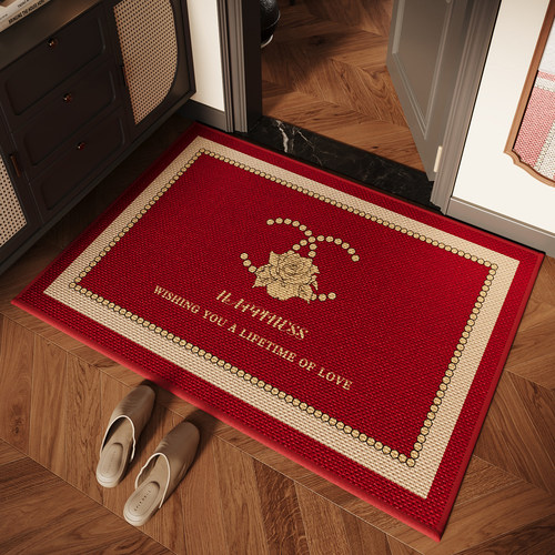 入户门地垫大门口防滑脚垫轻奢高级感玄关地毯耐脏除尘免打理门垫