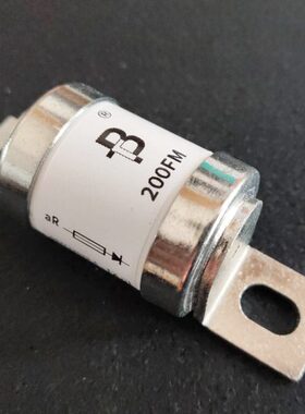 熔断器 200FM 180FM 250FM 280FM 315FM 350FM RGS 19 690V