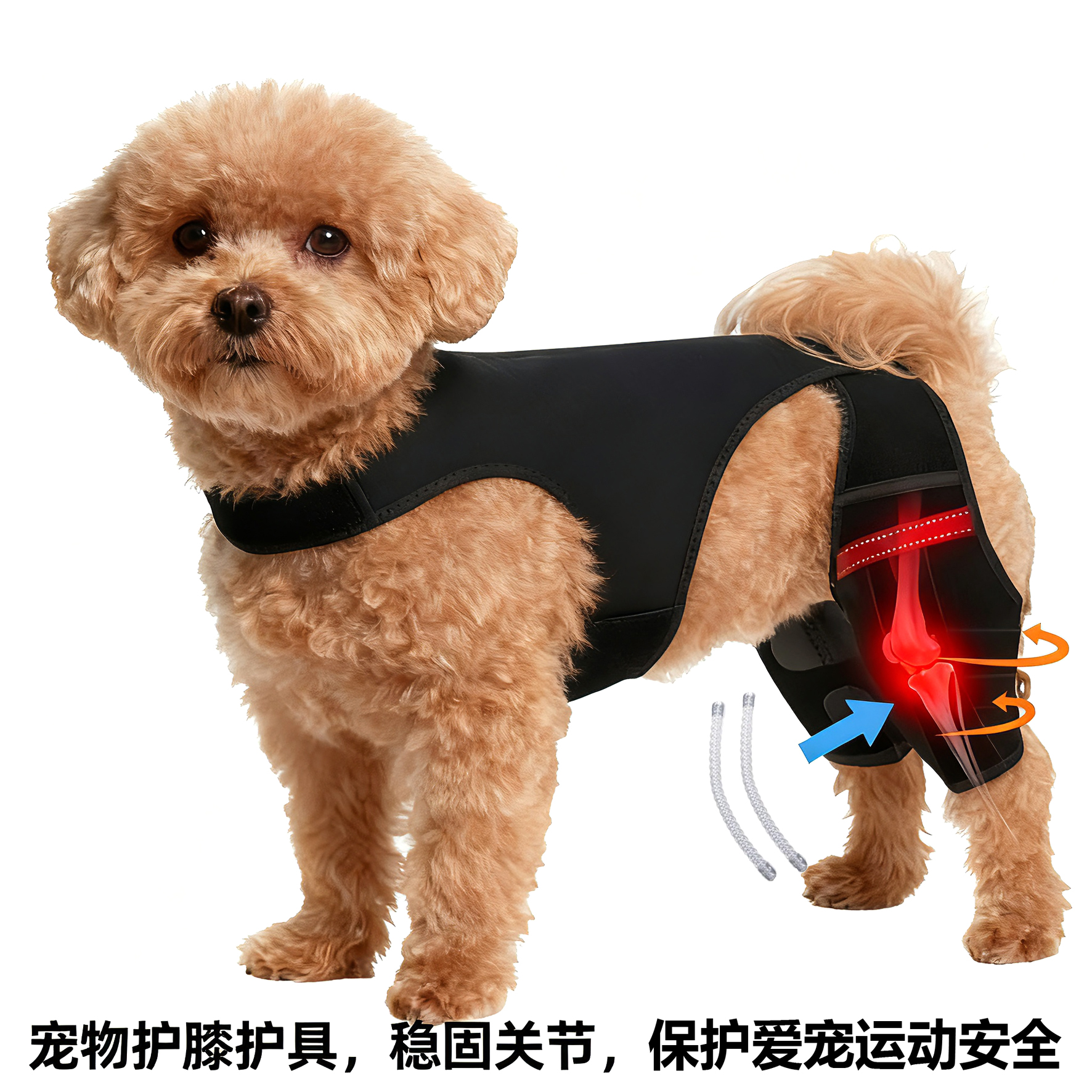 狗狗护膝适用于比熊泰迪犬十字韧带损伤髌骨脱位或骨关节炎后双腿